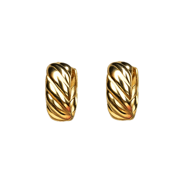 Front view of Charlotte S925 sterling silver hoop earrings with 18K gold plating and vintage leaf-textured design.