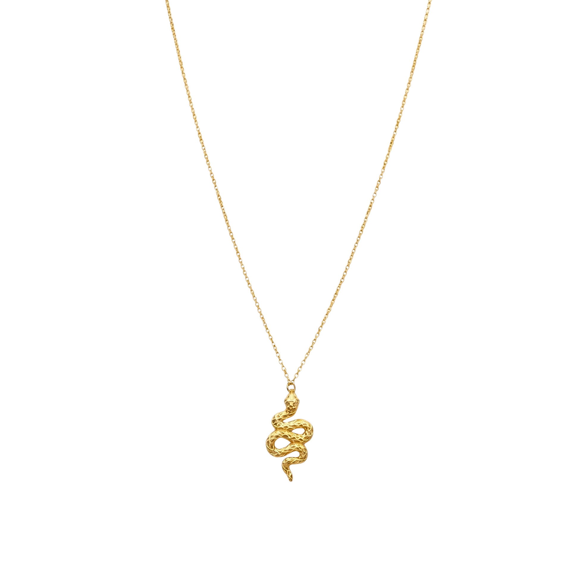 Front view of Serpentina snake necklace crafted from sterling silver with 18K gold plating and zircon detail. Unique symbolic silver jewelry piece.