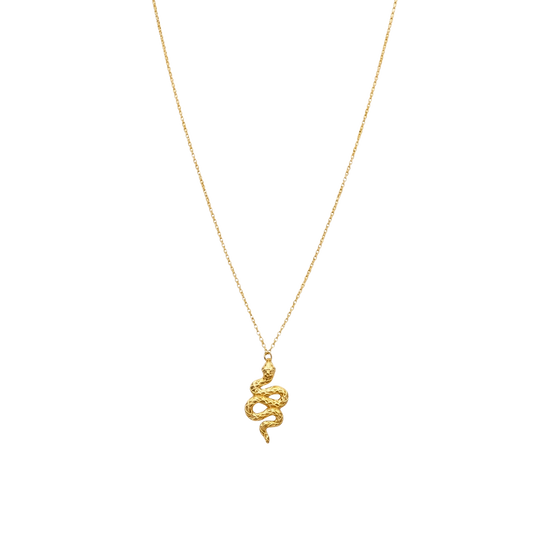 Front view of Serpentina snake necklace crafted from sterling silver with 18K gold plating and zircon detail. Unique symbolic silver jewelry piece.