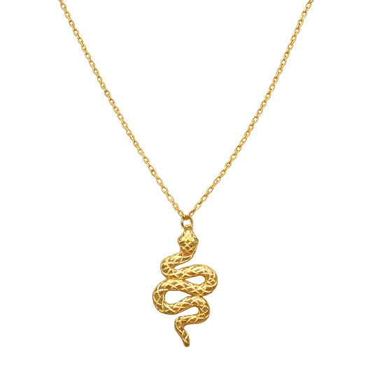Front view of Serpentina snake necklace crafted from sterling silver with 18K gold plating and zircon detail. Unique symbolic silver jewelry piece.